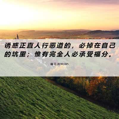 Picture 06 - 箴 言 28:10 CUVS - 诱 惑 正 直 人 行 恶 道 的 ， 必 掉 - Bible Verse Picture