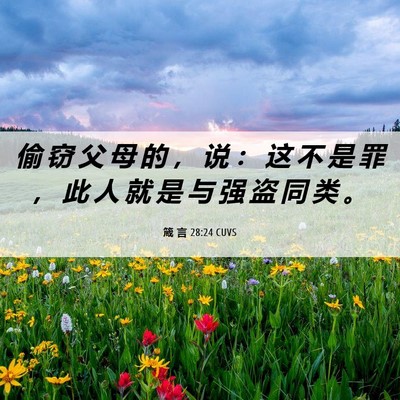 Picture 06 - 箴 言 28:24 CUVS - 偷 窃 父 母 的 ， 说 ： 这 不 是 罪 - Bible Verse Picture
