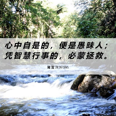 Picture 06 - 箴 言 28:26 CUVS - 心 中 自 是 的 ， 便 是 愚 昧 人 ； - Bible Verse Picture