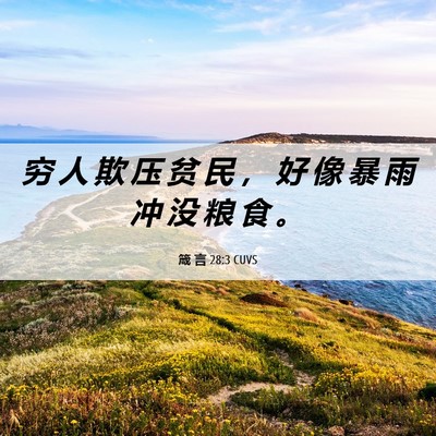 Picture 06 - 箴 言 28:3 CUVS - 穷 人 欺 压 贫 民 ， 好 像 暴 雨 冲 - Bible Verse Picture
