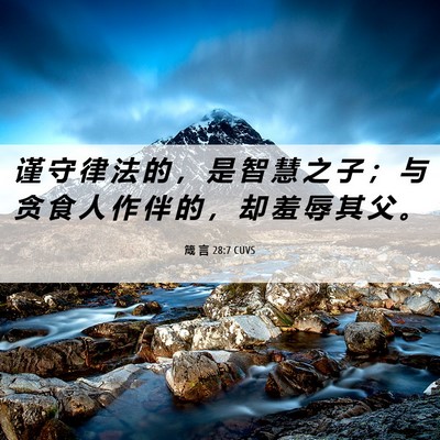Picture 06 - 箴 言 28:7 CUVS - 谨 守 律 法 的 ， 是 智 慧 之 子 ； - Bible Verse Picture