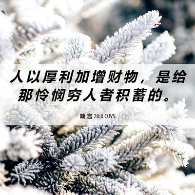 Picture 06 - 箴 言 28:8 CUVS - 人 以 厚 利 加 增 财 物 ， 是 给 那 - Bible Verse Picture
