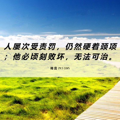 Picture 06 - 箴 言 29:1 CUVS - 人 屡 次 受 责 罚 ， 仍 然 硬 着 颈 - Bible Verse Picture