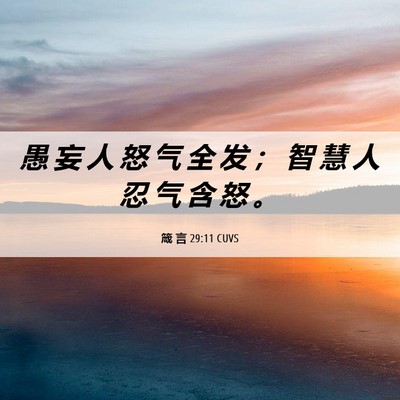 Picture 06 - 箴 言 29:11 CUVS - 愚 妄 人 怒 气 全 发 ； 智 慧 人 忍 - Bible Verse Picture