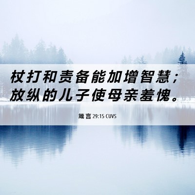 Picture 06 - 箴 言 29:15 CUVS - 杖 打 和 责 备 能 加 增 智 慧 ； 放 - Bible Verse Picture