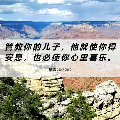 Picture 06 - 箴 言 29:17 CUVS - 管 教 你 的 儿 子 ， 他 就 使 你 得 - Bible Verse Picture