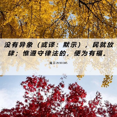 Picture 06 - 箴 言 29:18 CUVS - 没 有 异 象 （ 或 译 ： 默 示 ） ， - Bible Verse Picture