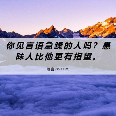 Picture 06 - 箴 言 29:20 CUVS - 你 见 言 语 急 躁 的 人 吗 ？ 愚 昧 - Bible Verse Picture