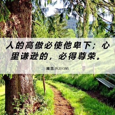 Picture 06 - 箴 言 29:23 CUVS - 人 的 高 傲 必 使 他 卑 下 ； 心 里 - Bible Verse Picture