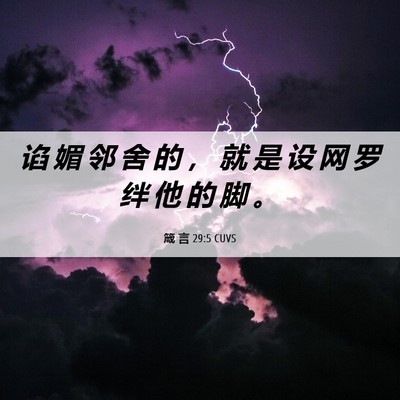 Picture 06 - 箴 言 29:5 CUVS - 谄 媚 邻 舍 的 ， 就 是 设 网 罗 绊 - Bible Verse Picture