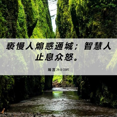 Picture 06 - 箴 言 29:8 CUVS - 亵 慢 人 煽 惑 通 城 ； 智 慧 人 止 - Bible Verse Picture