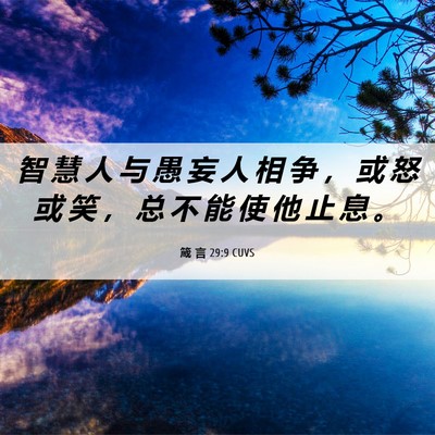 Picture 06 - 箴 言 29:9 CUVS - 智 慧 人 与 愚 妄 人 相 争 ， 或 怒 - Bible Verse Picture