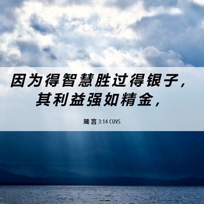 Picture 06 - 箴 言 3:14 CUVS - 因 为 得 智 慧 胜 过 得 银 子 ， 其 - Bible Verse Picture