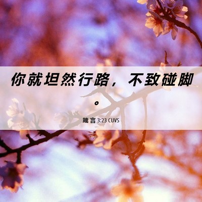 Picture 06 - 箴 言 3:23 CUVS - 你 就 坦 然 行 路 ， 不 致 碰 脚 - Bible Verse Picture