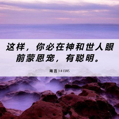 Picture 06 - 箴 言 3:4 CUVS - 这 样 ， 你 必 在 神 和 世 人 眼 前 - Bible Verse Picture