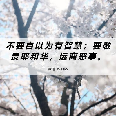 Picture 06 - 箴 言 3:7 CUVS - 不 要 自 以 为 有 智 慧 ； 要 敬 畏 - Bible Verse Picture