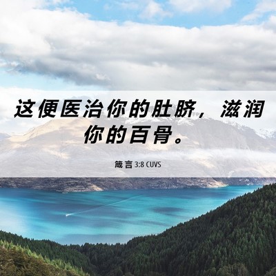 Picture 06 - 箴 言 3:8 CUVS - 这 便 医 治 你 的 肚 脐 ， 滋 润 你 - Bible Verse Picture