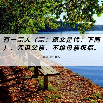 Picture 06 - 箴 言 30:11 CUVS - 有 一 宗 人 （ 宗 ： 原 文 是 代 ； - Bible Verse Picture