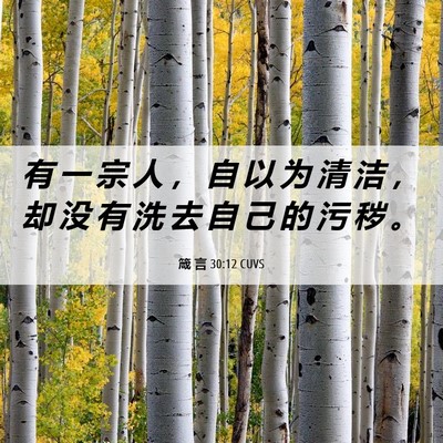 Picture 06 - 箴 言 30:12 CUVS - 有 一 宗 人 ， 自 以 为 清 洁 ， 却 - Bible Verse Picture