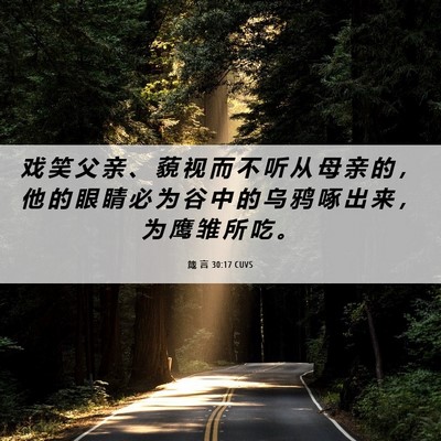 Picture 06 - 箴 言 30:17 CUVS - 戏 笑 父 亲 、 藐 视 而 不 听 从 母 - Bible Verse Picture