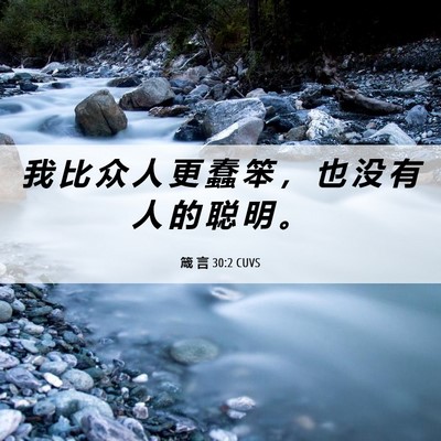 Picture 06 - 箴 言 30:2 CUVS - 我 比 众 人 更 蠢 笨 ， 也 没 有 人 - Bible Verse Picture