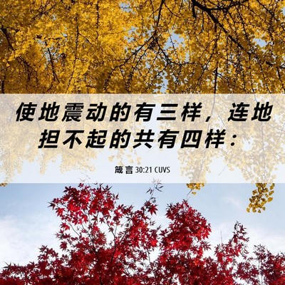 Picture 06 - 箴 言 30:21 CUVS - 使 地 震 动 的 有 三 样 ， 连 地 担 - Bible Verse Picture