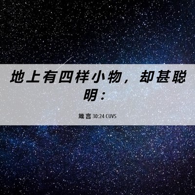 Picture 06 - 箴 言 30:24 CUVS - 地 上 有 四 样 小 物 ， 却 甚 聪 明 - Bible Verse Picture