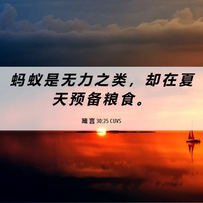 Picture 06 - 箴 言 30:25 CUVS - 蚂 蚁 是 无 力 之 类 ， 却 在 夏 天 - Bible Verse Picture