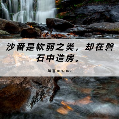 Picture 06 - 箴 言 30:26 CUVS - 沙 番 是 软 弱 之 类 ， 却 在 磐 石 - Bible Verse Picture