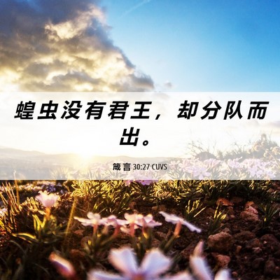 Picture 06 - 箴 言 30:27 CUVS - 蝗 虫 没 有 君 王 ， 却 分 队 而 出 - Bible Verse Picture