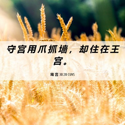 Picture 06 - 箴 言 30:28 CUVS - 守 宫 用 爪 抓 墙 ， 却 住 在 王 宫 - Bible Verse Picture