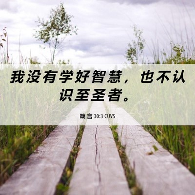 Picture 06 - 箴 言 30:3 CUVS - 我 没 有 学 好 智 慧 ， 也 不 认 识 - Bible Verse Picture