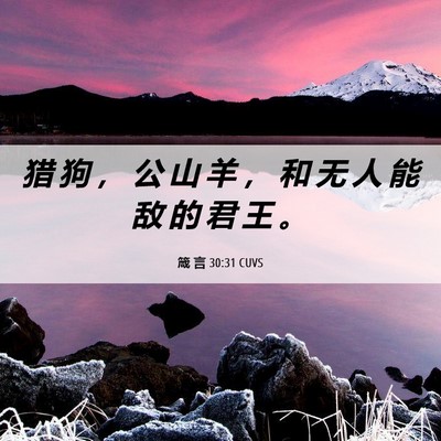 Picture 06 - 箴 言 30:31 CUVS - 猎 狗 ， 公 山 羊 ， 和 无 人 能 敌 - Bible Verse Picture
