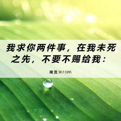 Picture 06 - 箴 言 30:7 CUVS - 我 求 你 两 件 事 ， 在 我 未 死 之 - Bible Verse Picture