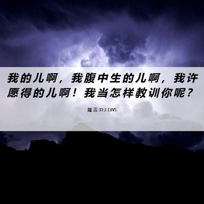 Picture 06 - 箴 言 31:2 CUVS - 我 的 儿 啊 ， 我 腹 中 生 的 儿 啊 - Bible Verse Picture