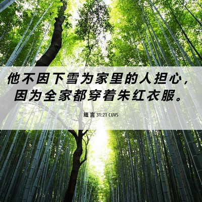 Picture 06 - 箴 言 31:21 CUVS - 他 不 因 下 雪 为 家 里 的 人 担 心 - Bible Verse Picture