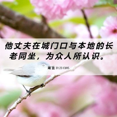 Picture 06 - 箴 言 31:23 CUVS - 他 丈 夫 在 城 门 口 与 本 地 的 长 - Bible Verse Picture