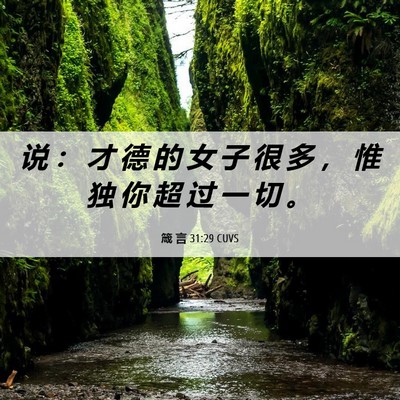 Picture 06 - 箴 言 31:29 CUVS - 说 ： 才 德 的 女 子 很 多 ， 惟 独 - Bible Verse Picture