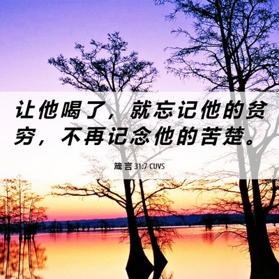 Picture 06 - 箴 言 31:7 CUVS - 让 他 喝 了 ， 就 忘 记 他 的 贫 穷 - Bible Verse Picture