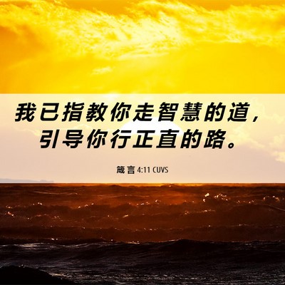 Picture 06 - 箴 言 4:11 CUVS - 我 已 指 教 你 走 智 慧 的 道 ， 引 - Bible Verse Picture