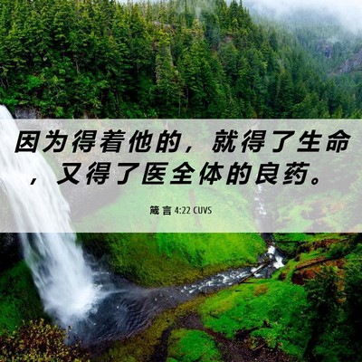 Picture 06 - 箴 言 4:22 CUVS - 因 为 得 着 他 的 ， 就 得 了 生 命 - Bible Verse Picture