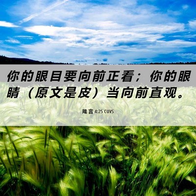 Picture 06 - 箴 言 4:25 CUVS - 你 的 眼 目 要 向 前 正 看 ； 你 的 - Bible Verse Picture