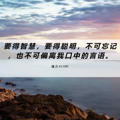 Picture 06 - 箴 言 4:5 CUVS - 要 得 智 慧 ， 要 得 聪 明 ， 不 可 - Bible Verse Picture