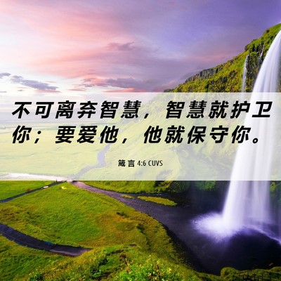 Picture 06 - 箴 言 4:6 CUVS - 不 可 离 弃 智 慧 ， 智 慧 就 护 卫 - Bible Verse Picture
