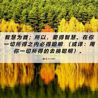 Picture 06 - 箴 言 4:7 CUVS - 智 慧 为 首 ； 所 以 ， 要 得 智 慧 - Bible Verse Picture