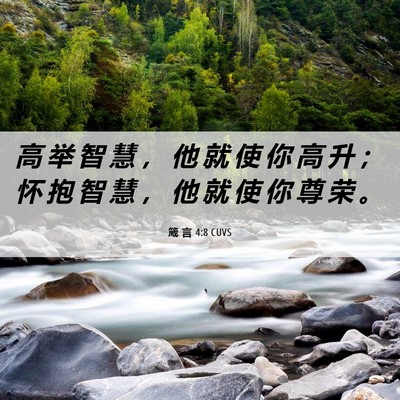 Picture 06 - 箴 言 4:8 CUVS - 高 举 智 慧 ， 他 就 使 你 高 升 ； - Bible Verse Picture