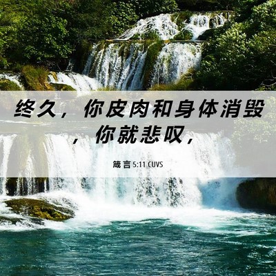Picture 06 - 箴 言 5:11 CUVS - 终 久 ， 你 皮 肉 和 身 体 消 毁 ， - Bible Verse Picture