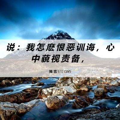 Picture 06 - 箴 言 5:12 CUVS - 说 ： 我 怎 麽 恨 恶 训 诲 ， 心 中 - Bible Verse Picture