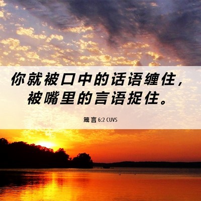 Picture 06 - 箴 言 6:2 CUVS - 你 就 被 口 中 的 话 语 缠 住 ， 被 - Bible Verse Picture