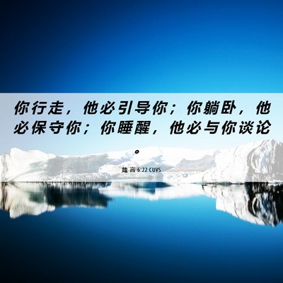 Picture 06 - 箴 言 6:22 CUVS - 你 行 走 ， 他 必 引 导 你 ； 你 躺 - Bible Verse Picture